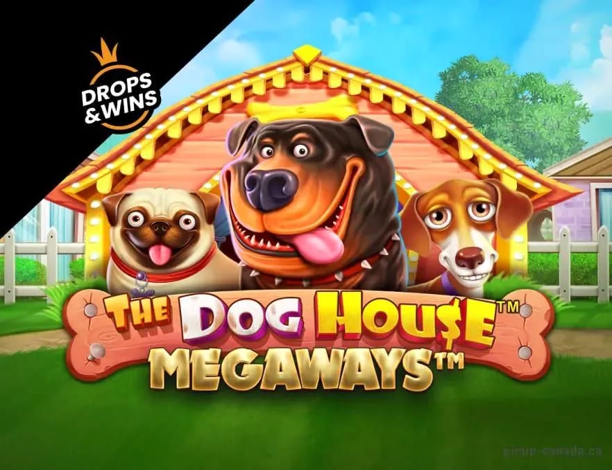 cocoacasino-site Gallery 1-15
